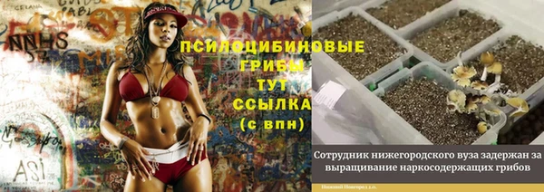 стаф Приозерск